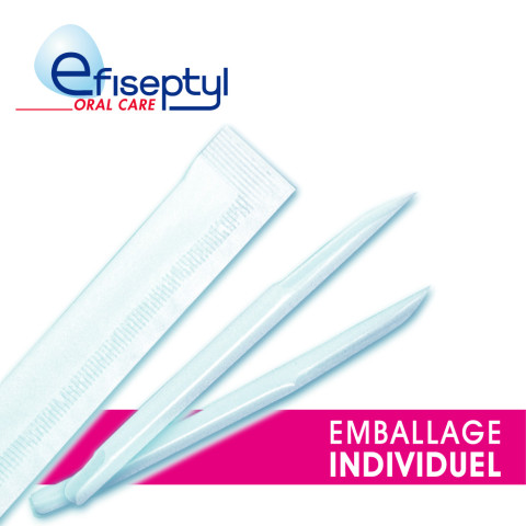 Cure dents plume d'oie emballage individuel